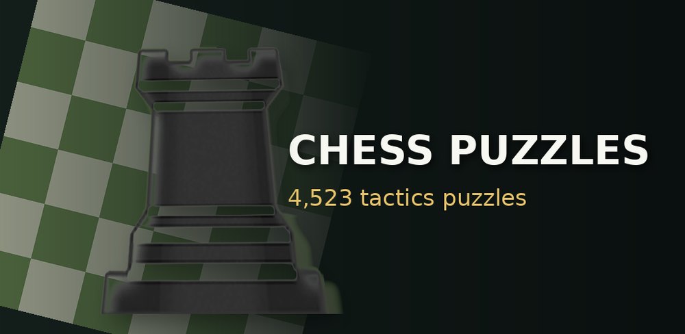 Chess Puzzles: Tactics artwork
